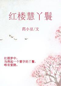 红楼丫鬟名字