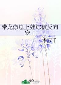 带龙傲崽上娃综被反向宠了作者木万千